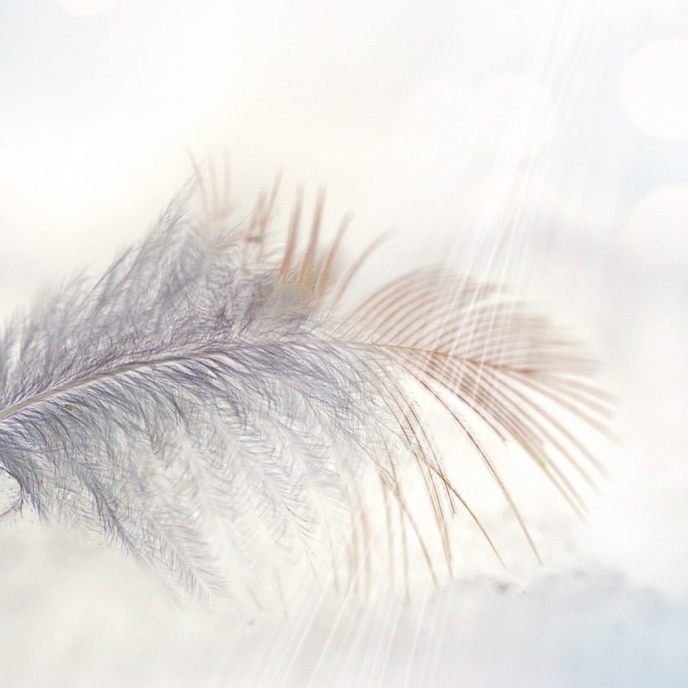 Angel Breath Meditation