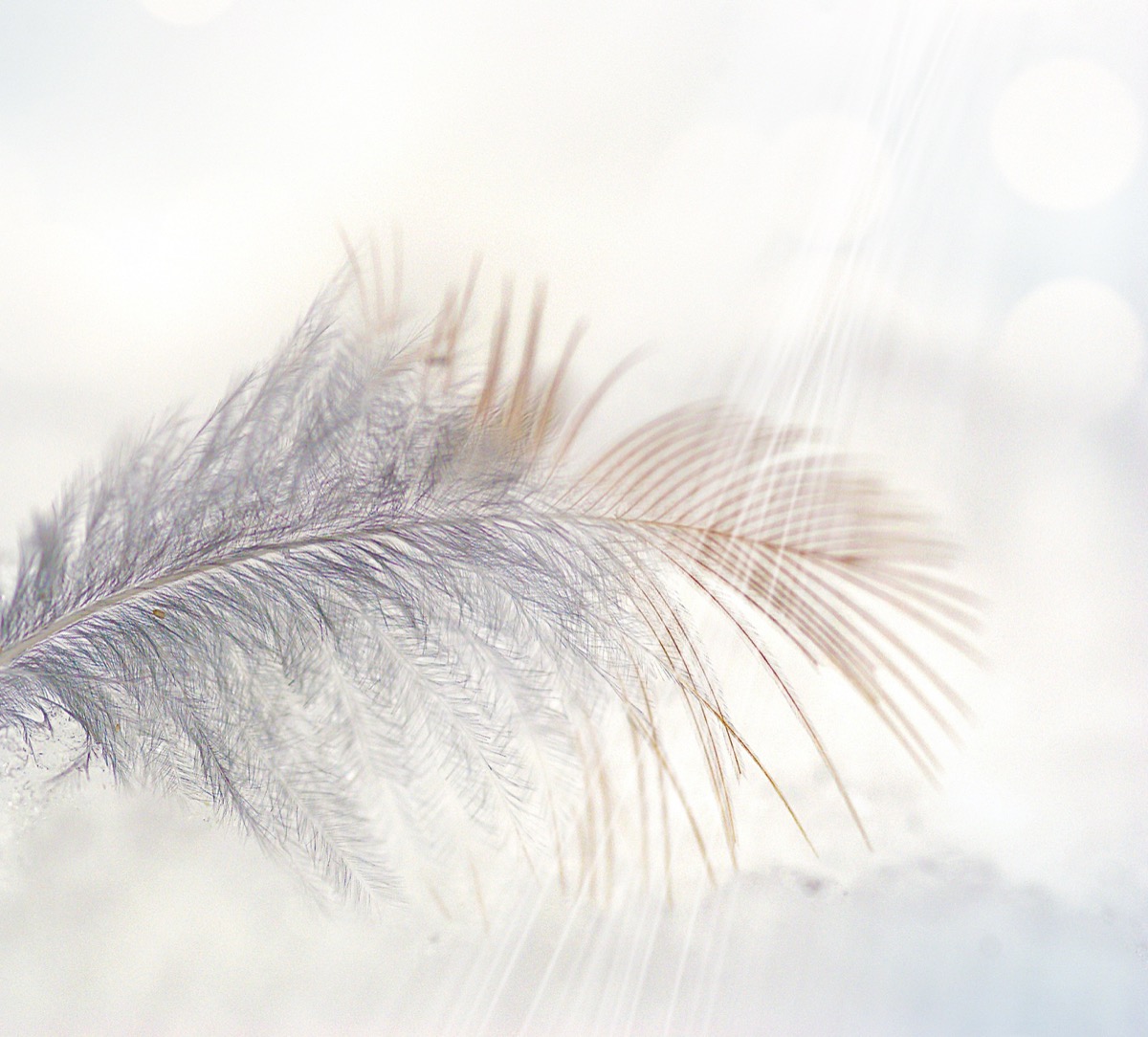 Angel Breath Meditation